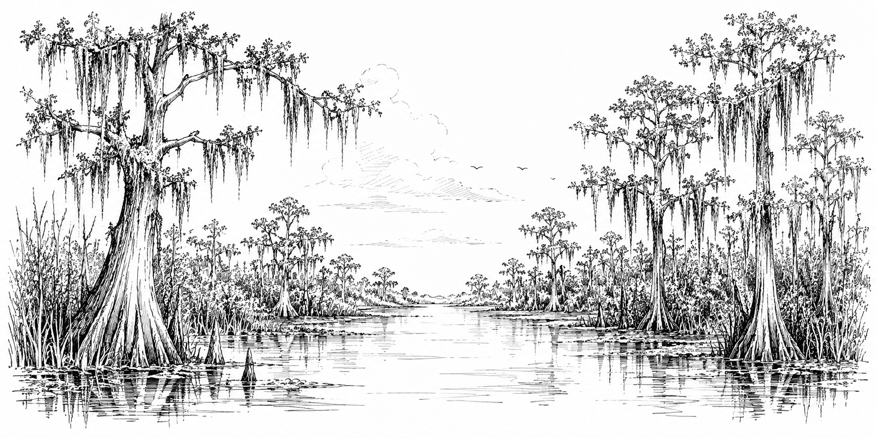 Hand-drawn illustration of a Louisiana bayou